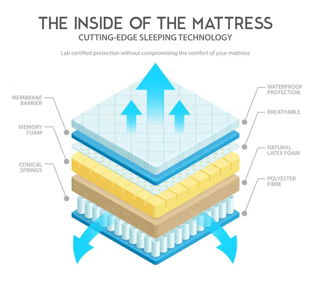 mattress-cross-section-4-layers Best orthopedic mattress for lower back pain